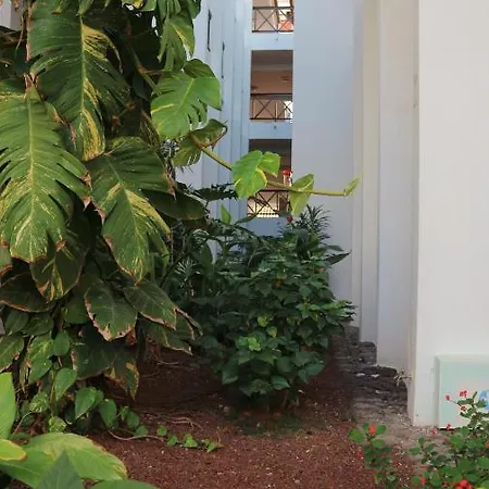 Waves & Sun, Parque Santiago 2 Apartament Arona (Tenerife)