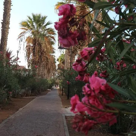 Waves & Sun, Parque Santiago 2 Arona (Tenerife)