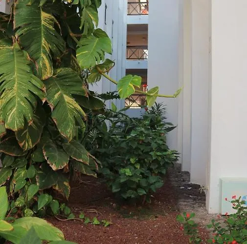 Waves & Sun, Parque Santiago 2 דירה ארונה