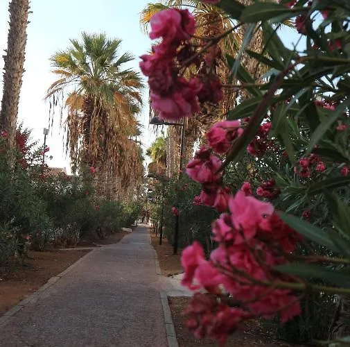 Waves & Sun, Parque Santiago 2 アロナ